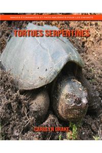 Tortues Serpentines