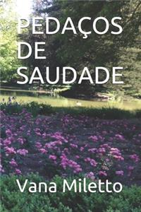 Pedaços de Saudade