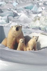 Mother and Baby Polar Bears Journal