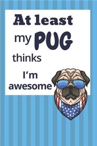 At least my Pug thinks I'm awesome