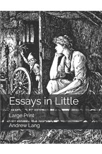 Essays in Little