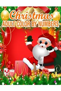 Christmas Adult Color By Numbers