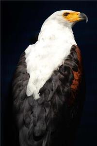 African Fish-Eagle (Haliaeetus Vocifer) Journal