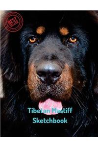 Tibetan Mastiff Sketchbook