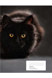 Cat Composition Notebook