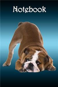 Notebook: Dog: Bulldog Teal Bg - Bespoke, Personalised Notebook. Contact Us If You Would Like Your Own Image, Name or Other Text on a Book.