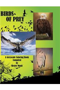 Birds of Prey