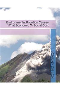 Environmental Pollution Causes What Economic or Social Cost