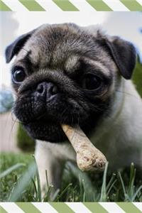 Pug Dot Grid Journal