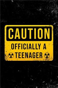 Caution - Officially a Teenager