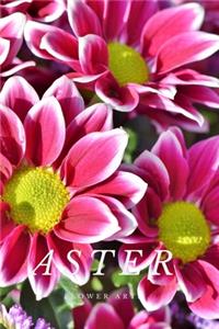 Aster