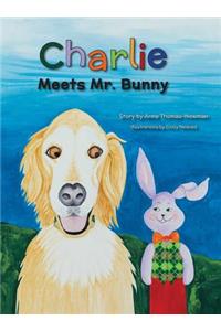 Charlie Meets Mr. Bunny