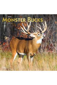 Monster Bucks 2020 Square Foil