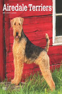 Airedale Terriers 2025 Square Wrap