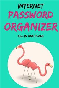 Internet Password Organizer