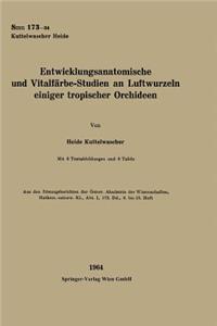 Entwicklungsanatomische Und Vitalfärbe-Studien an Luftwurzeln Einiger Tropischer Orchideen