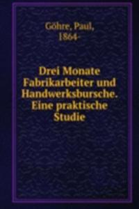 Drei Monate Fabrikarbeiter und Handwerksbursche. Eine praktische Studie