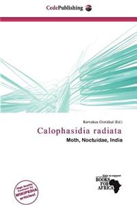 Calophasidia Radiata