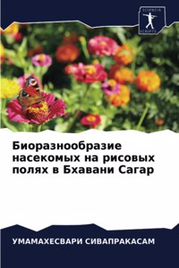 Биоразнообразие насекомых на рисовых пол