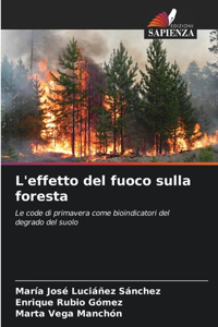 L'effetto del fuoco sulla foresta