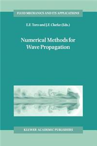 Numerical Methods for Wave Propagation