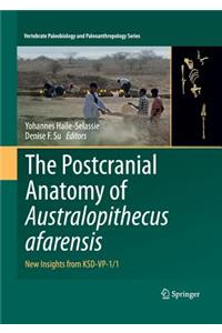 Postcranial Anatomy of Australopithecus Afarensis