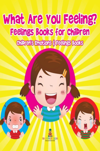 What Are You Feeling? Feelings Books for Children Children's Emotions & Feelings Books