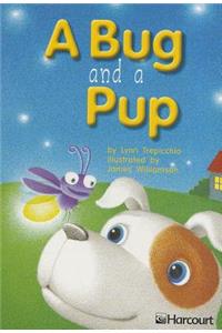 Harcourt School Publishers Trophies: Below Level Individual Reader Grade 1 a Bug and a Pup