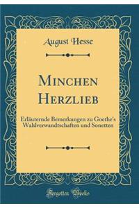 Minchen Herzlieb: Erlï¿½uternde Bemerkungen Zu Goethe's Wahlverwandtschaften Und Sonetten (Classic Reprint)