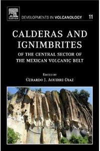 Calderas and Ignimbrites of the Central Sector of the Mexican Volcanic Belt