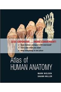 Atlas of Human Anatomy