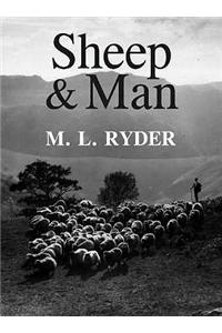 Sheep and Man