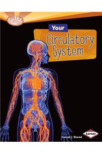 Your Circulatory System