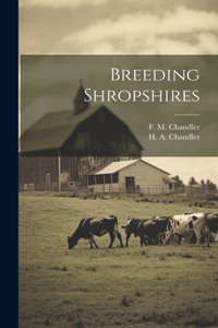 Breeding Shropshires