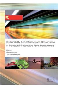 Sustainability, Eco-efficiency, and Conservation in Transportation Infrastructure Asset Management