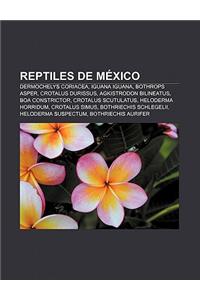 Reptiles de Mexico: Dermochelys Coriacea, Iguana Iguana, Bothrops Asper, Crotalus Durissus, Agkistrodon Bilineatus, Boa Constrictor