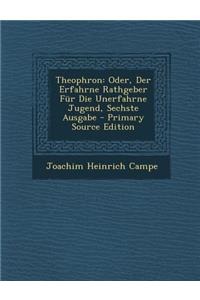 Theophron: Oder, Der Erfahrne Rathgeber Fur Die Unerfahrne Jugend, Sechste Ausgabe
