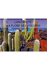 Lanzarote La Flore Des Volcans 2018