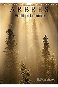 Arbres. Foret Et Lumiere 2018