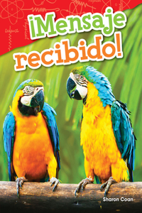 ¡Mensaje Recibido! (Message Received!)