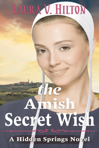 Amish Secret Wish