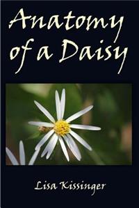 Anatomy of a Daisy