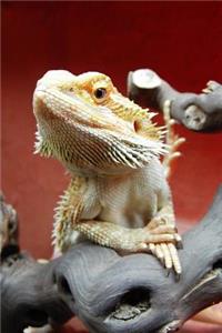 Bearded Dragon Lizard Journal: 150 page lined notebook/diary