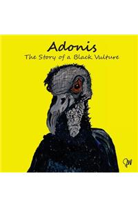 Adonis The Story Of A Black Vulture