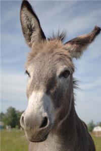 A Curious Donkey Checking You Out Journal