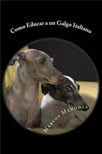 Como Educar a un Galgo Italiano