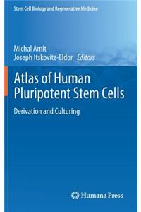 Atlas of Human Pluripotent Stem Cells