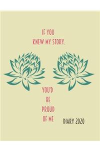 If you knew my story, you'd be proud of me.