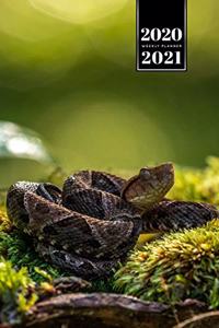 Snake Reptile Week Planner Weekly Organizer Calendar 2020 / 2021 - Baby in Grass