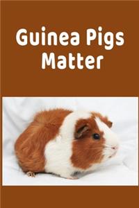 Guinea Pigs Matter